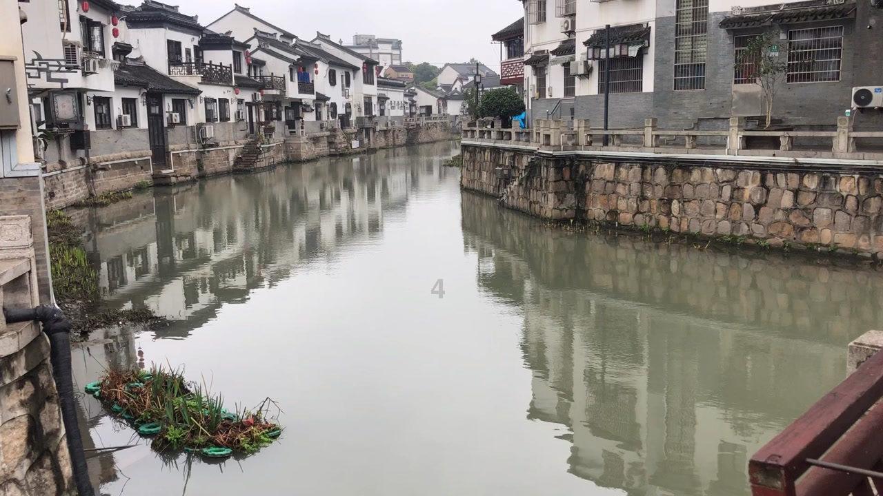山珍年味“醉”乡愁，湖北通山首届年货节开幕